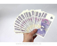 Rychlá a bezpečná půjčka