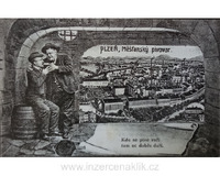 Pohlednice do roku 1945 odkoupím hotově