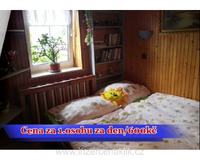 Nabízím chatu k pronájmu