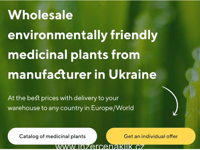 Prodej léčivých rostlin ve velkém od výrobce za nejlepší ceny