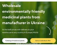 Prodej léčivých rostlin ve velkém od výrobce za nejlepší ceny