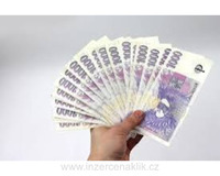 Nenechte se odradit finančními problémy.